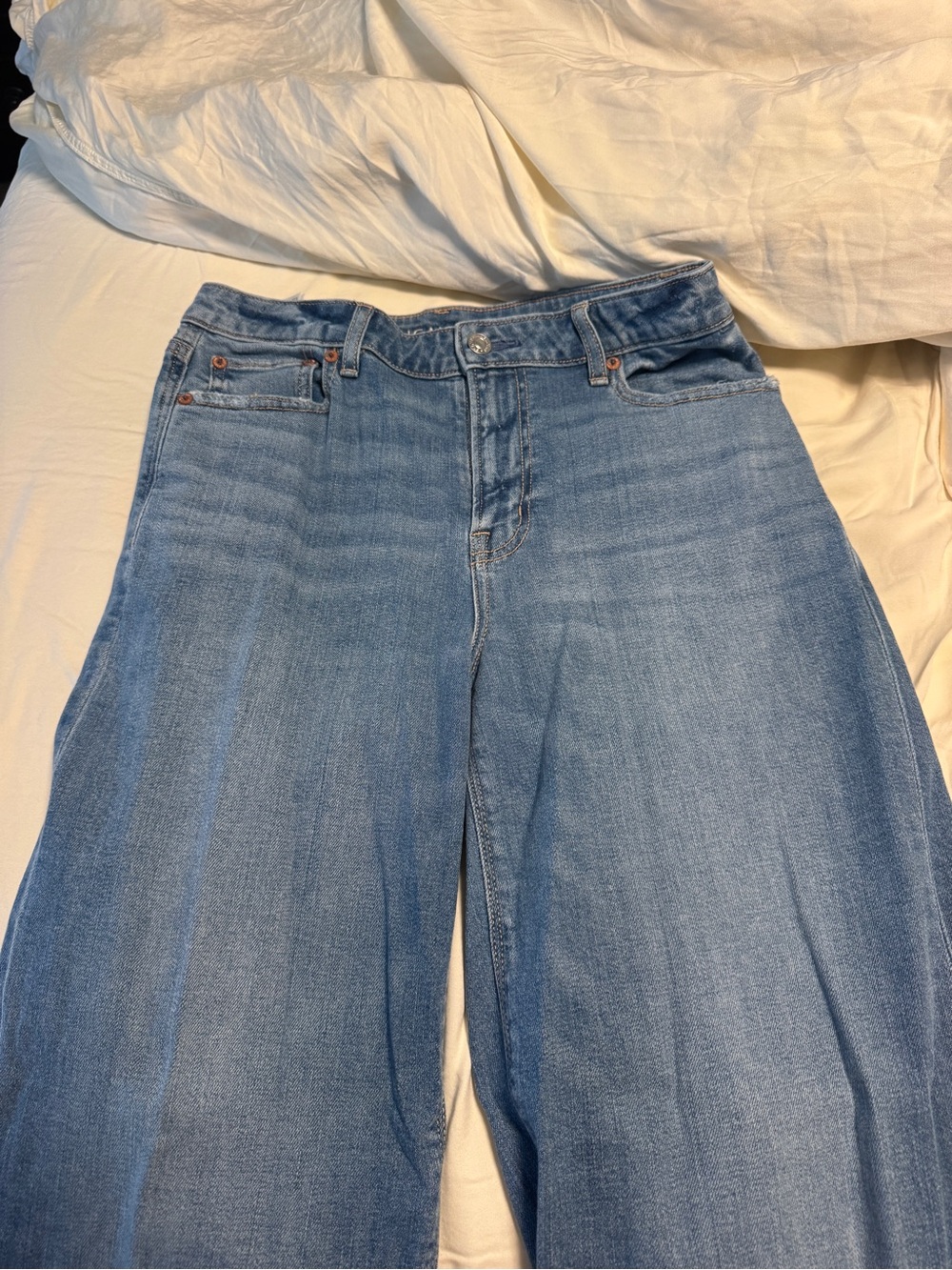 American Eagle Outfitters Light Blue Wide Leg Jeans